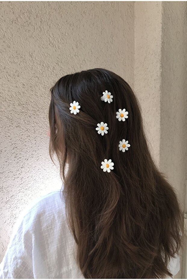 زخرفة الشعر ديزي
