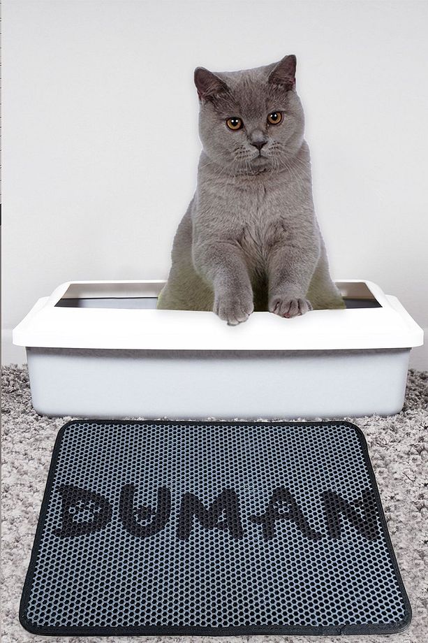 Kedi Kumu Paspası, Elekli Duman - 1