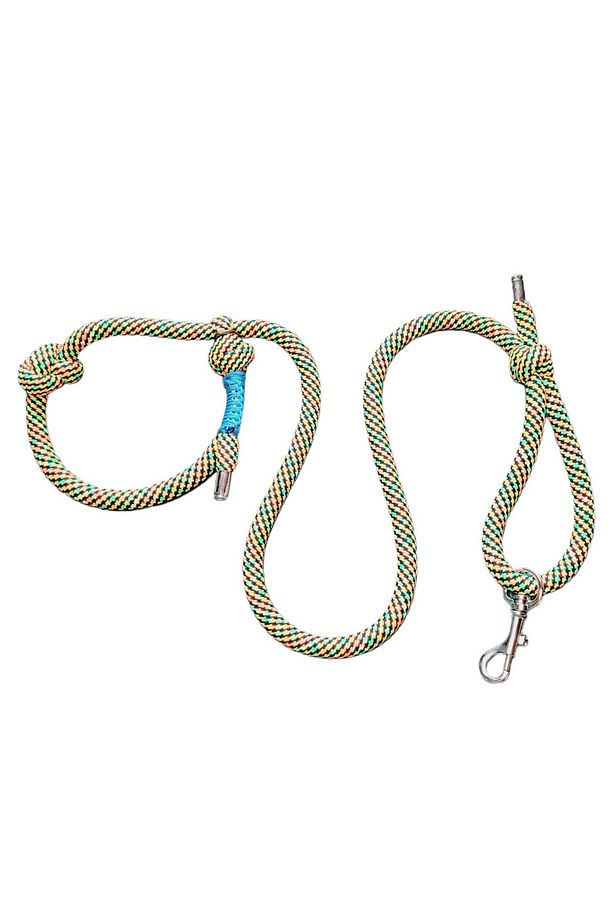 Köpek Kayışı Ve Boğma Eğitim Tasma Tek Ip Üzerinde (orta Irk Içindir) - 7