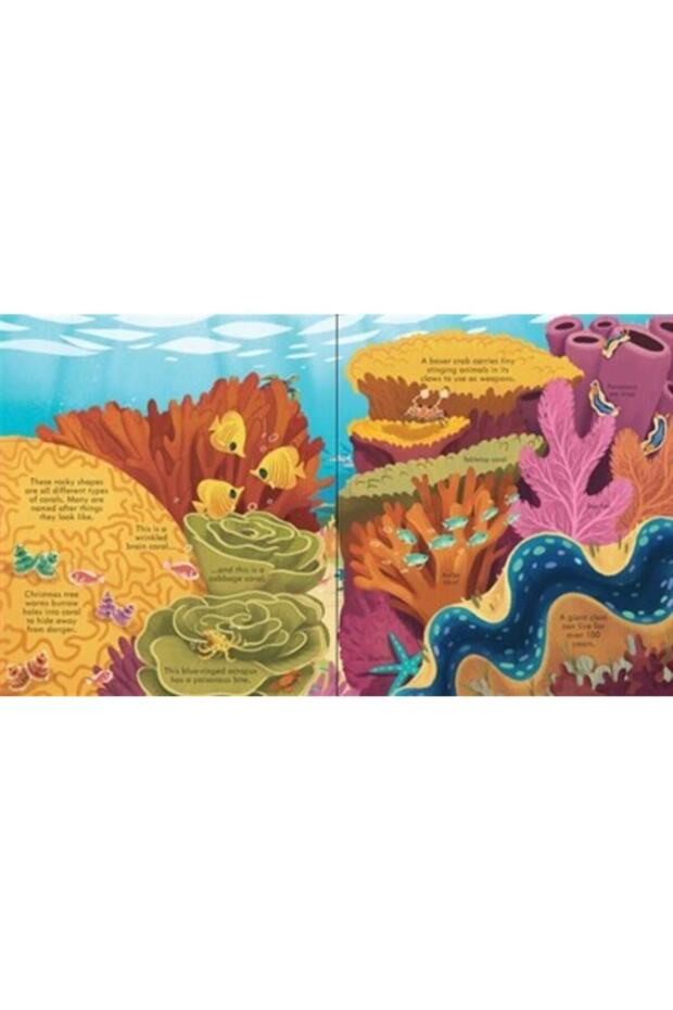 Look Inside Seas And Oceans - 3