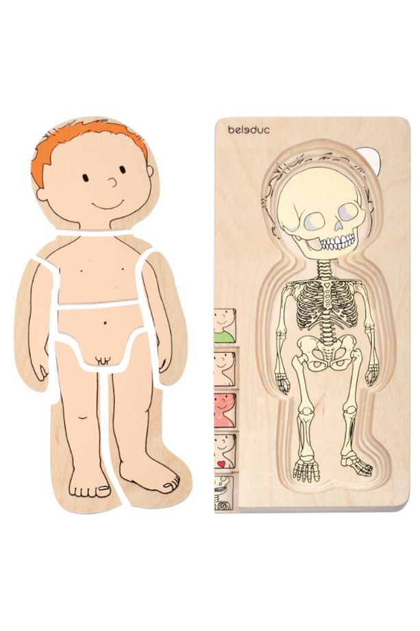 İnsan Anatomisi Puzzle - Erkek - 1
