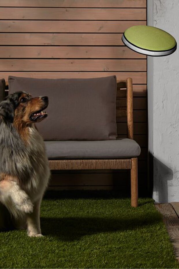 Dog Throwing Disc, Green Combo - 1