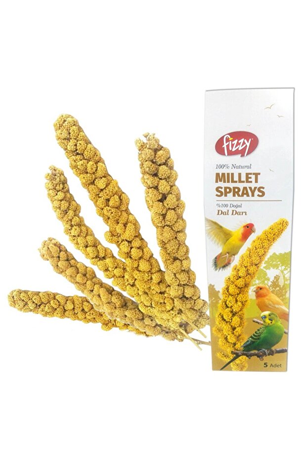 Doğal Dal Darı - 1