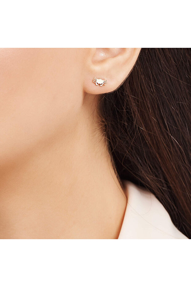 Burç Yengeç Küpe - 1