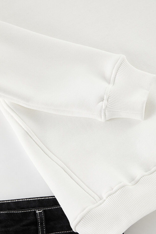 Ekru Regular/Normal Kesim Dik Yaka Fermuarlı İçi Polar/Sıcak Tutan Basic Sweatshirt TMNAW24SW00041 - 7