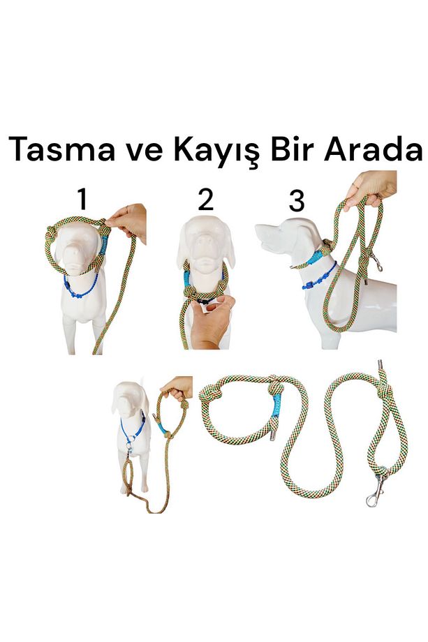 Köpek Kayışı Ve Boğma Eğitim Tasma Tek Ip Üzerinde (orta Irk Içindir) - 1