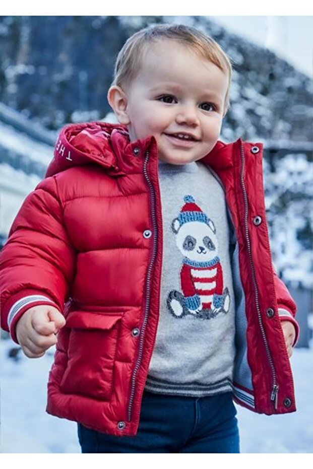 Gray Baby Boy Sweater - Embroidered, Model 02313 077