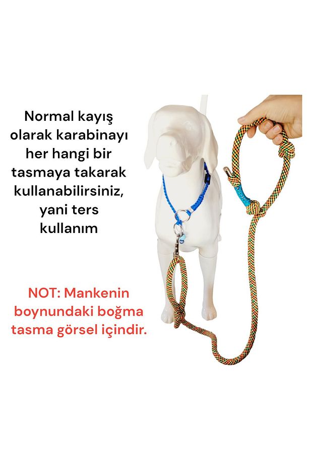 Köpek Kayışı Ve Boğma Eğitim Tasma Tek Ip Üzerinde (orta Irk Içindir) - 6