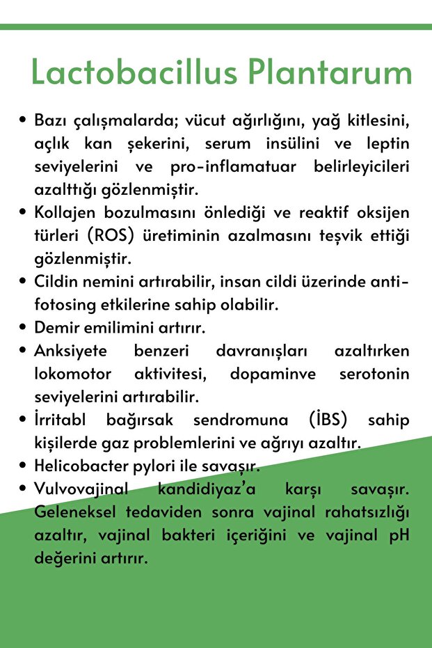 Lactobacillus Plantarum 30 Kapsül - 3