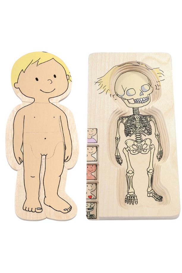 İnsan Anatomisi Puzzle - Kız - 1