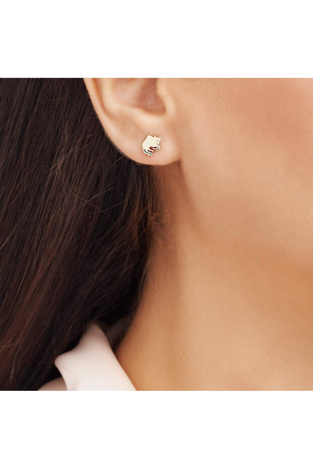 Burç Boğa Küpe - 2