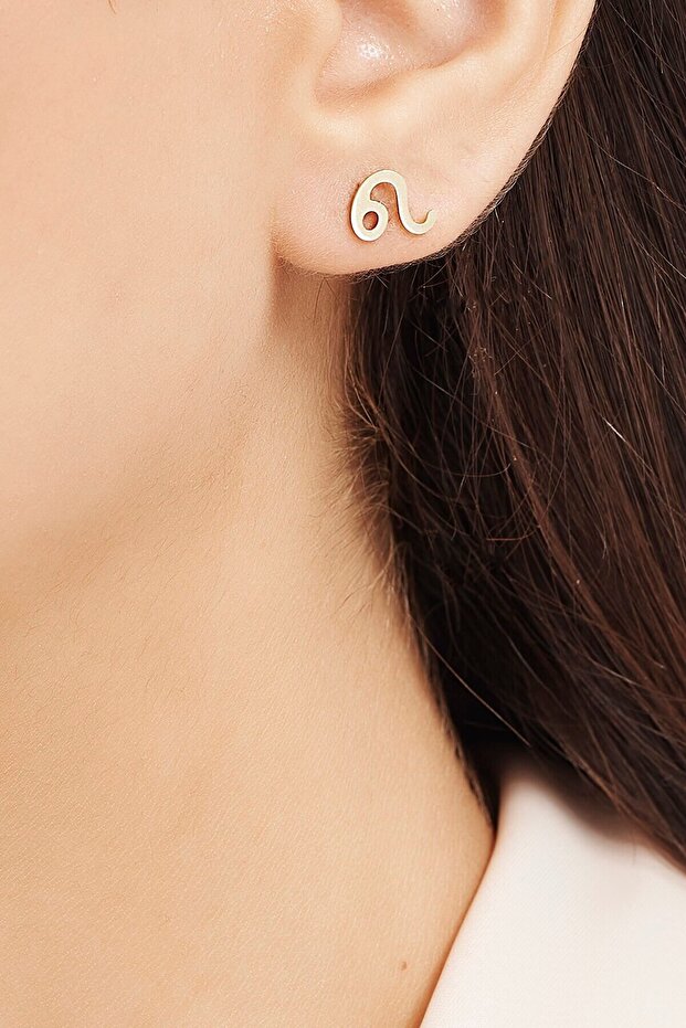 Burç Aslan Küpe - 1