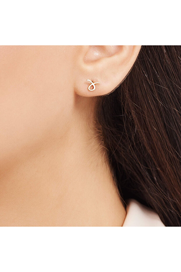 Burç Boğa Küpe - 3