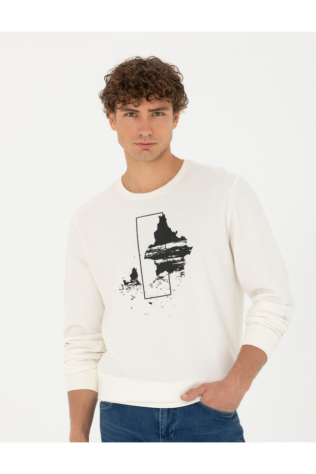 Ecru Regular Fit 100% Cotton Crew Neck Sweatshirt 50272505-Vr019