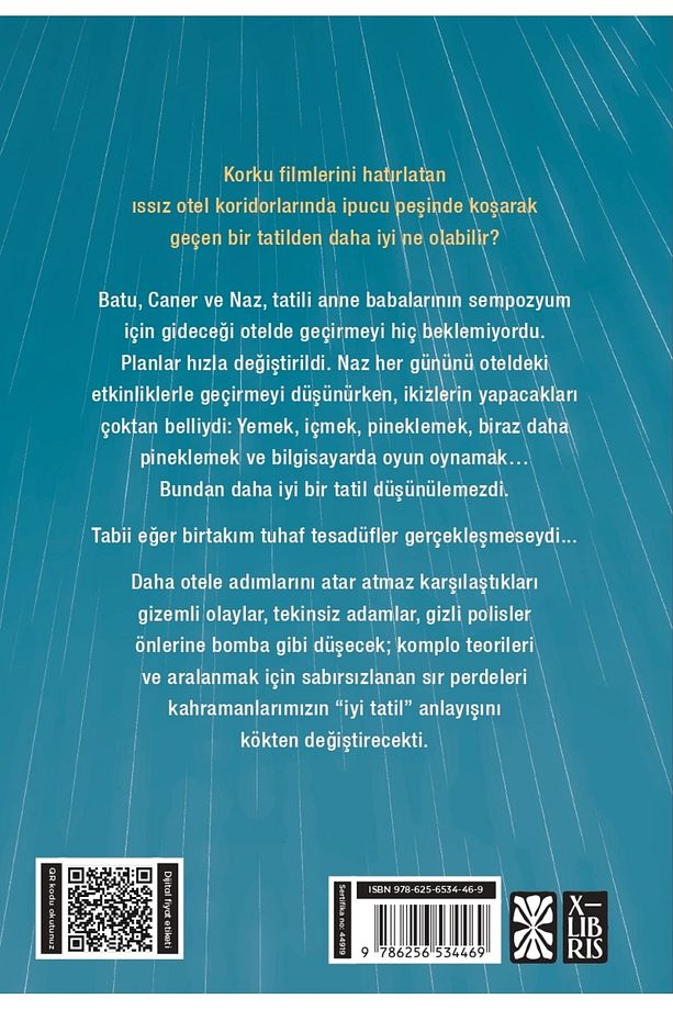 Tuhaf Tesadüfler 2 - İpucu Peşinde Deniz Erbulak Kitabı 344 Sayfa X-Libris - 2