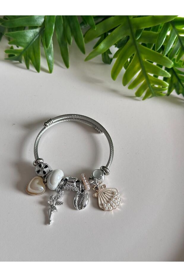 Çelik Deniz Kabuklu - 1