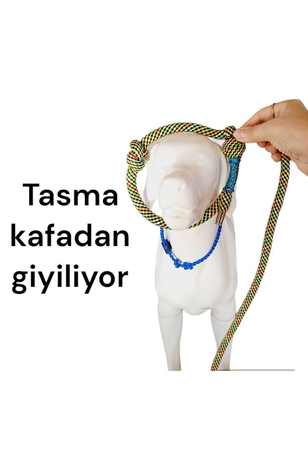 Köpek Kayışı Ve Boğma Eğitim Tasma Tek Ip Üzerinde (orta Irk Içindir) - 4