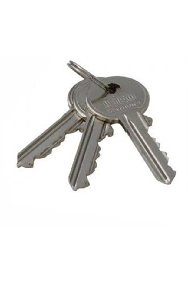 Iseo Çelik Kapı Kilidi, Kapı gömme kilidi - 4