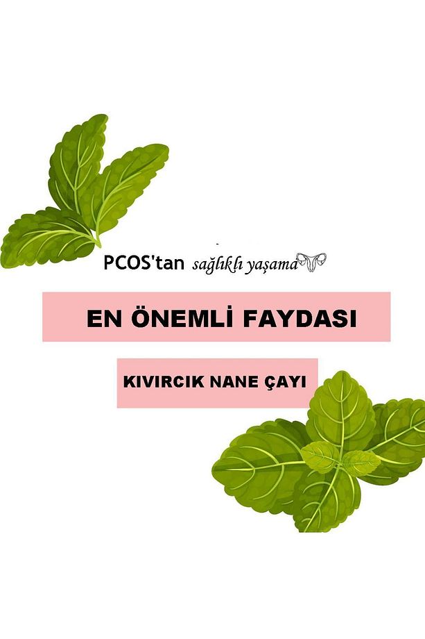 2 Adet Kıvırcık Nane Çayı Pcos & Sindirim Dostu Spearmint Tea 45 G 30 Süzen Poşet - 8