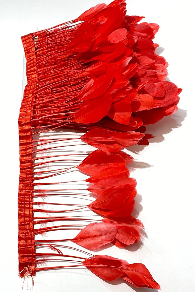 Kırmızı Malibu Deve Kuşu Tüyü - 2