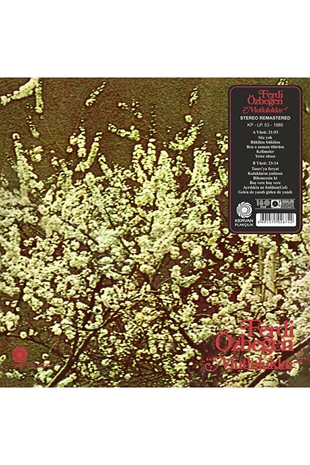 Ferdi Özbeğen - Mutluluklar (PLAK) - 3