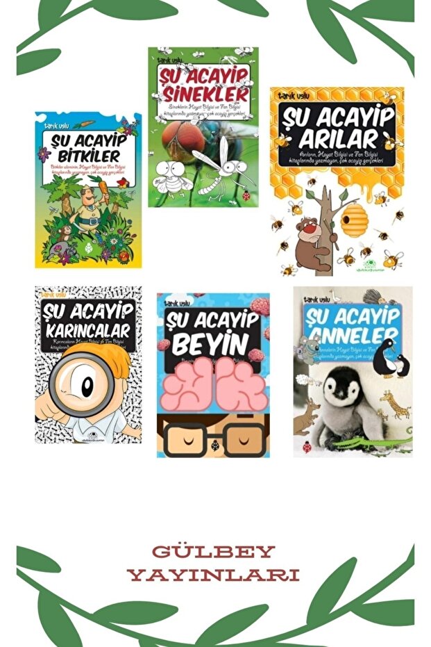 Şu Acayip Sinekler - Bitkiler - Arılar - Karıncalar - Anneler - Beyin 6 Kitap Set. - 1