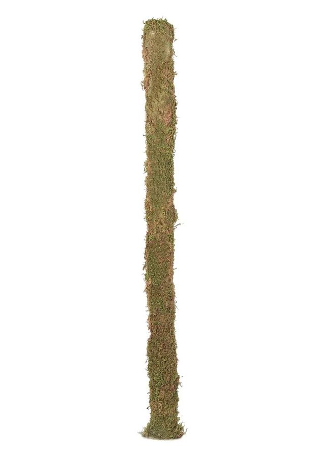 Bitki Destek Çubuğu 3lü Set 60cm-100cm-140cm (yosun Sopası) - 4