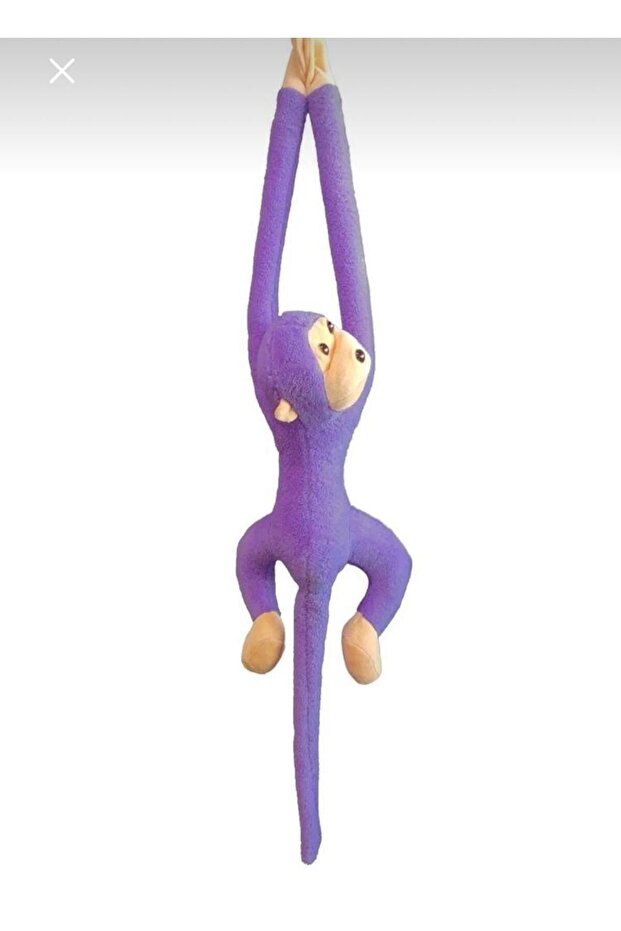 قرد قطيفة يلتصق باليدين - 1