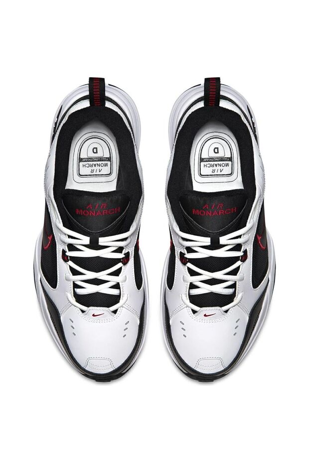 Air Monarch Iv - 4