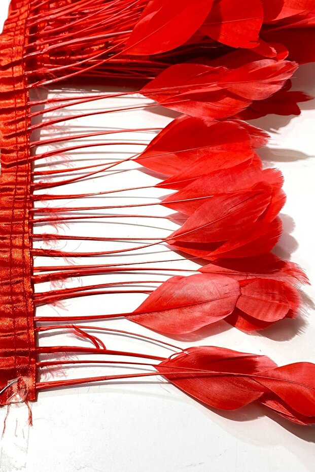 Kırmızı Malibu Deve Kuşu Tüyü - 3