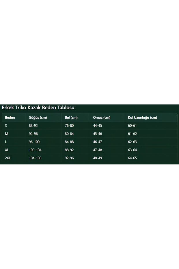 Erkek Triko Kazak Regular Basic Bisiklet Yaka Uzun Kollu Yumuşak - 3