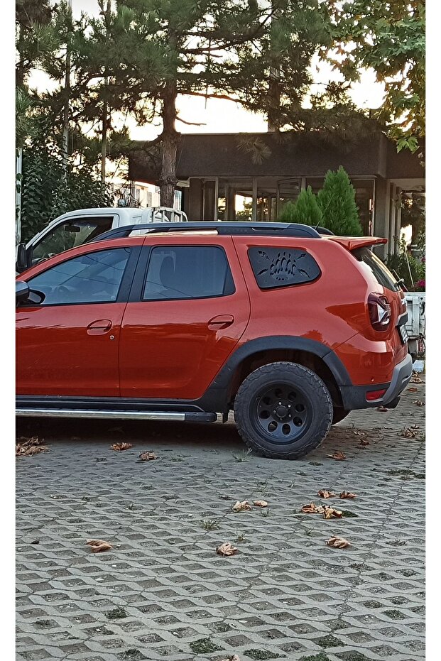 DUSTER KELEBEK CAM KORUMA - 2