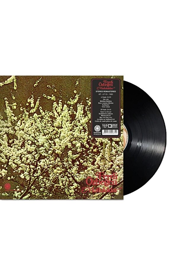 Ferdi Özbeğen - Mutluluklar (PLAK) - 4