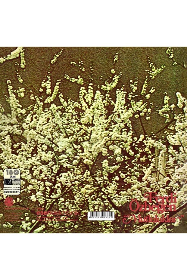 Ferdi Özbeğen - Mutluluklar (PLAK) - 2