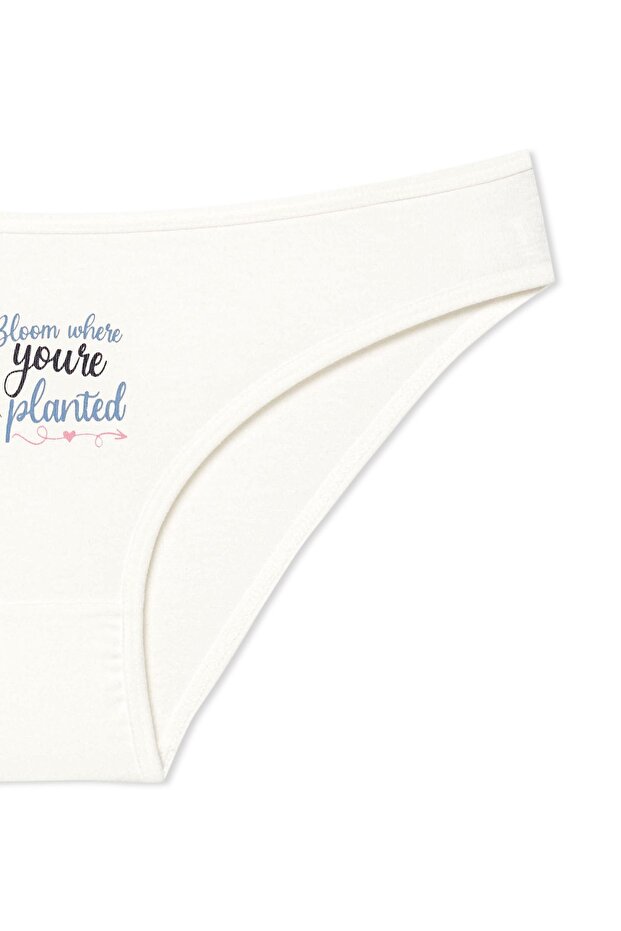 Pamuklu Basic Kadın Külot 3'lü Paket - 7