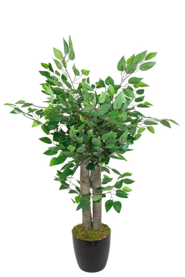 Yapay Benjamin Ağacı 70 Cm
