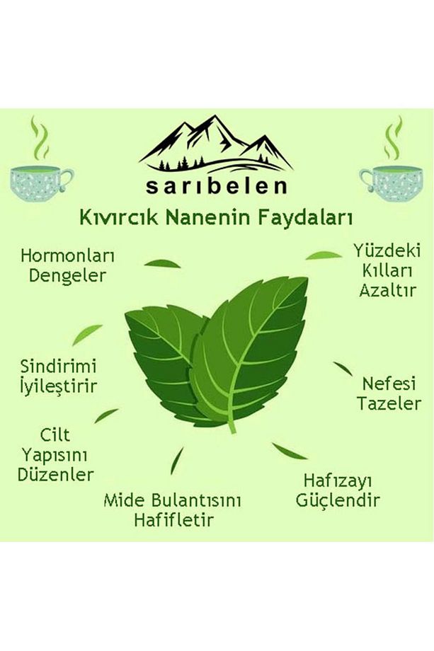 2 Adet Kıvırcık Nane Çayı Pcos & Sindirim Dostu Spearmint Tea 45 G 30 Süzen Poşet - 4
