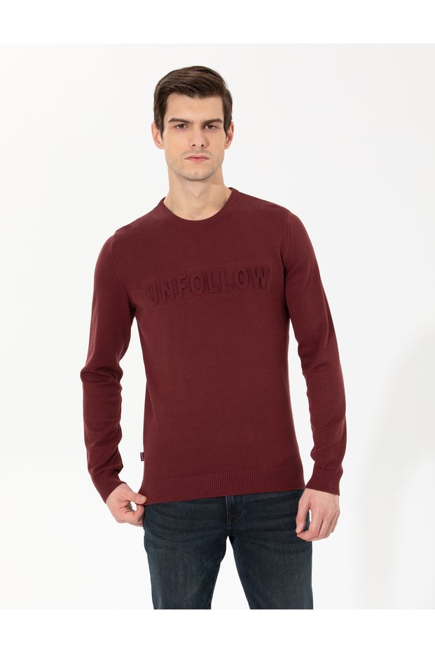 Burgundy Slim Fit Crew Neck Knitwear Sweater 50259797-Vr014