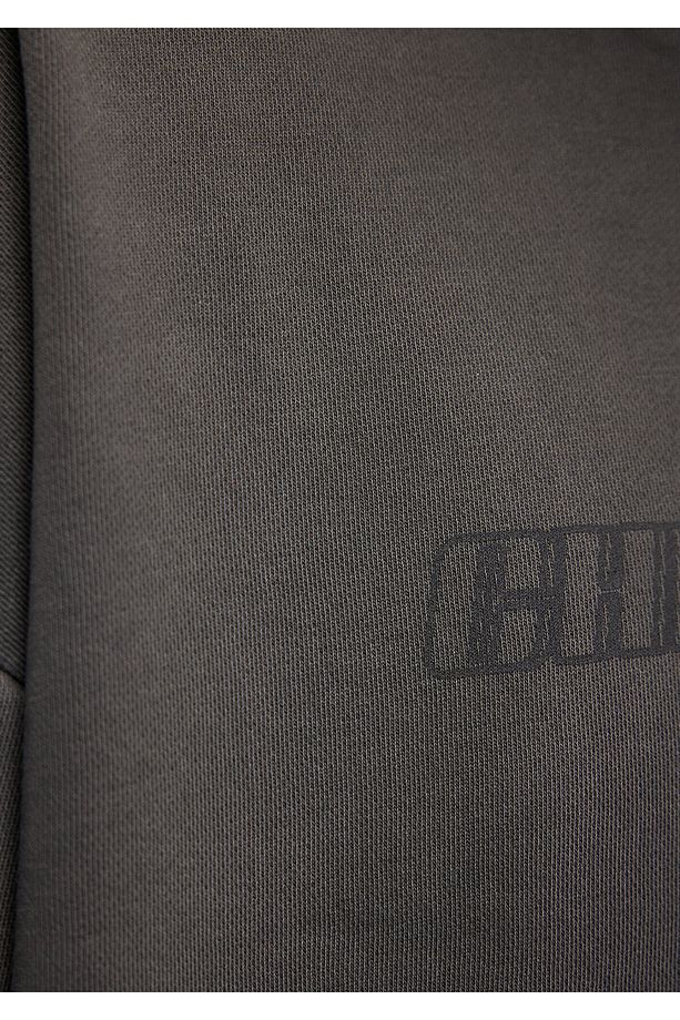 Kapüşonlu Baskılı Gri Sweatshirt 0S10114-86803 - 6