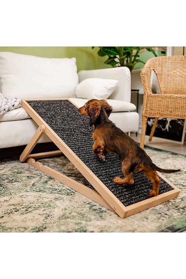 Ayarlanabilir Rahat Kullanım Köpek Rampası - 1