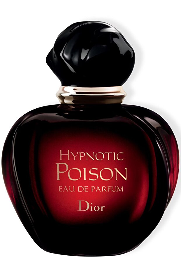 Hypnotic Poison Eau de Parfum (100 ml) - 1