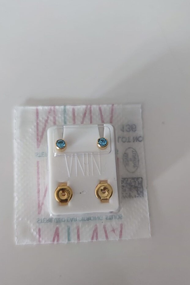 Stainless Steel Earrings Blue Stone