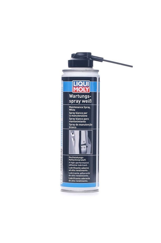 Kapı Kilit Spreyi 250 ml (3075) - 1