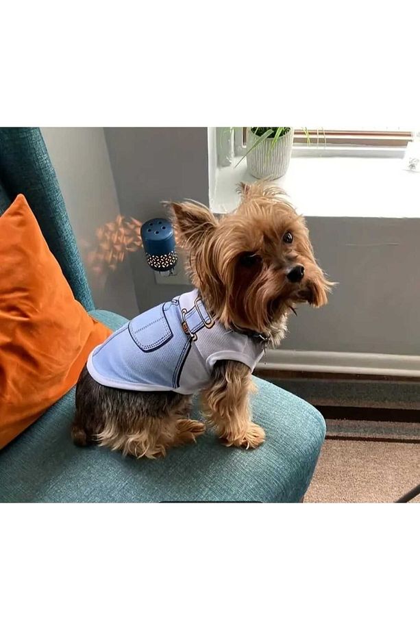Kedi Köpek Yeleği, Yumuşak Yavru Gömleği, Küçük Köpekler Giyim için Pet Giysileri - 1