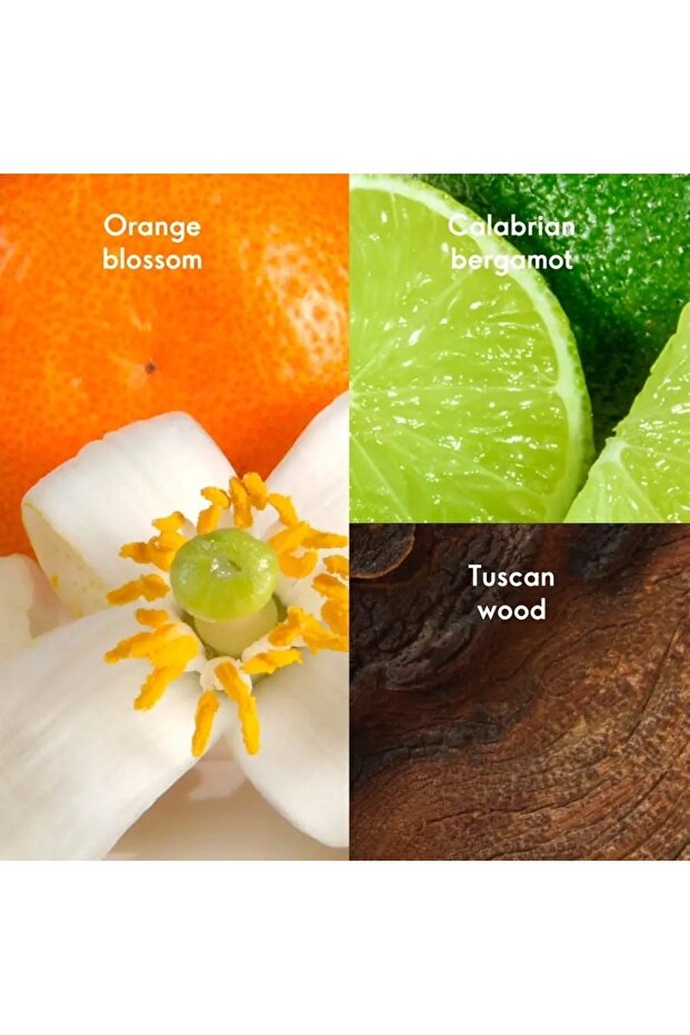 GİORDANİ GOLD Essenza Parfüm - 3