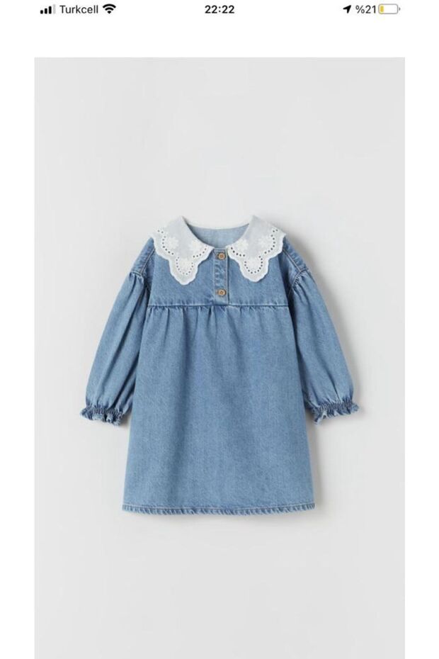 Blue Collar Denim Dress