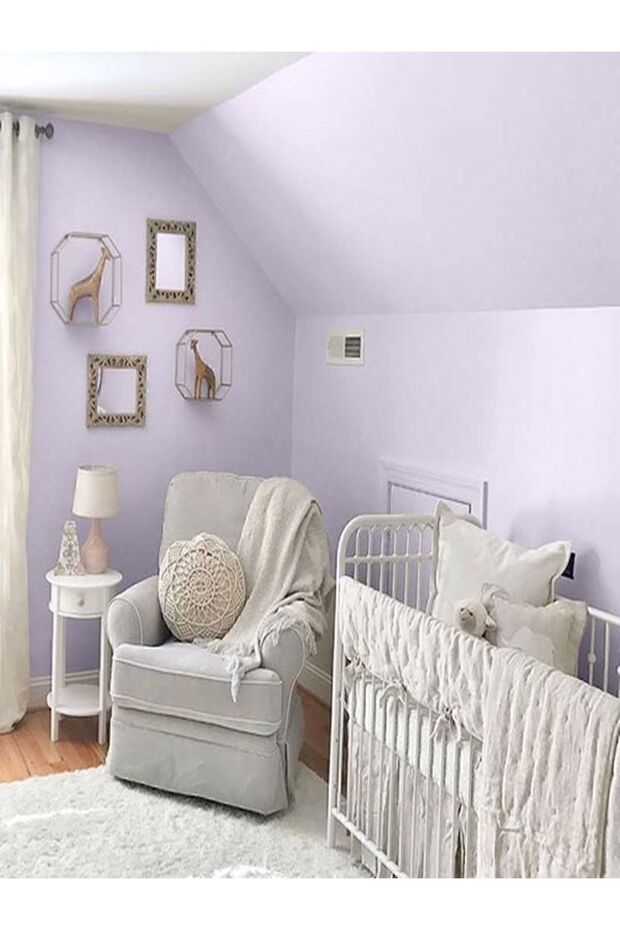 Tek Duvar Boyama Seti Eflatun - 4