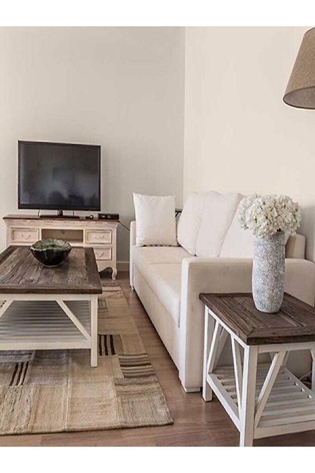 Tek Duvar Boyama Seti Cappuccino - 4