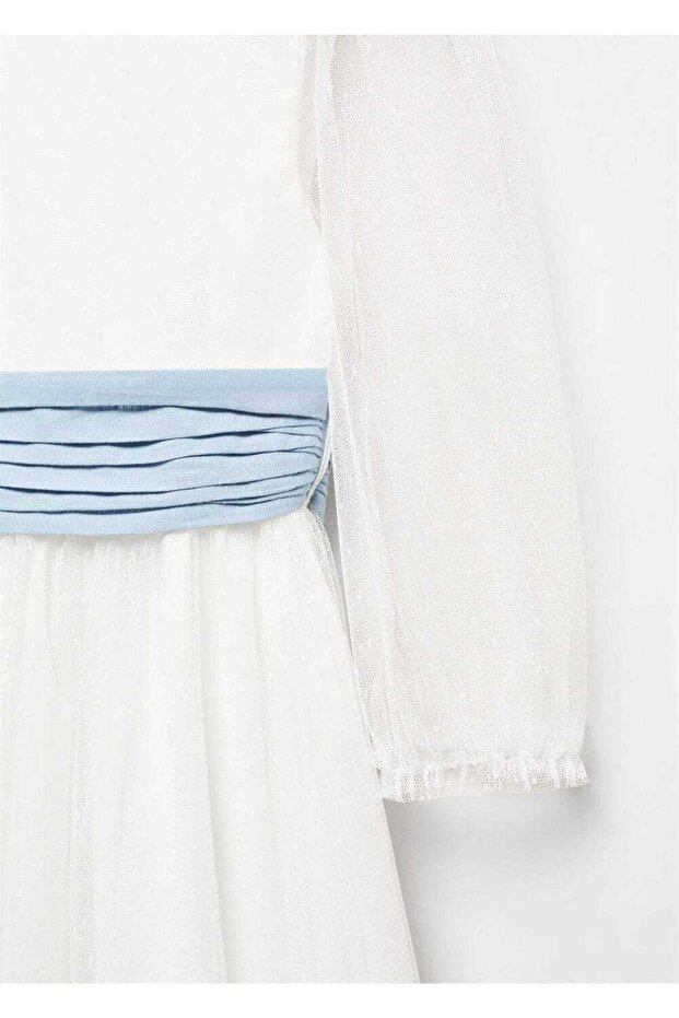 Fiyonklu Plumeti Elbise - 4