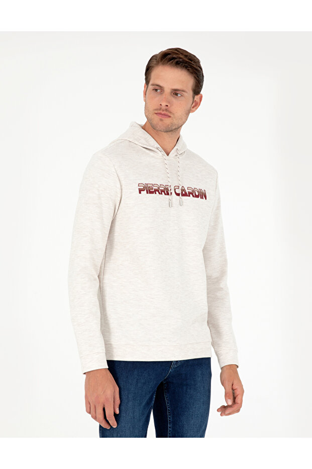 Beige Regular Fit Hooded Sweatshirt 50290665-Vr011